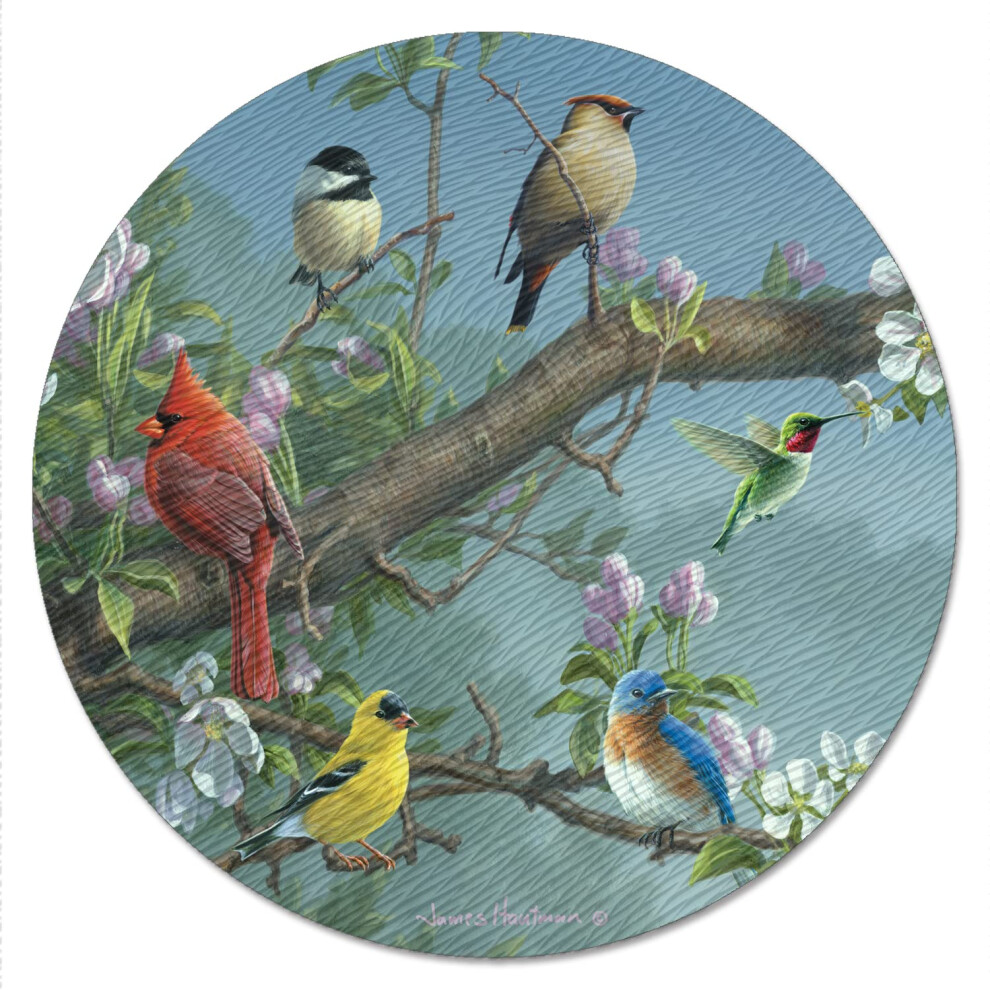CounterArt Beautiful Songbirds Lazy Susan Glass Serving Plate-image-OPC-PFY5V7D-NEW