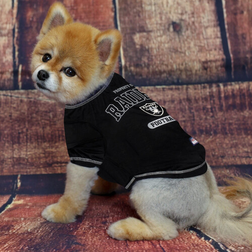 Pets First Oakland Raiders T-Shirt  Small 1