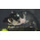 Playstation The Last Guardian    PlayStation 4 4