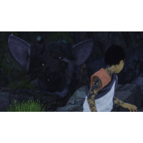 Playstation The Last Guardian    PlayStation 4 2