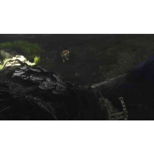 Playstation The Last Guardian    PlayStation 4 1