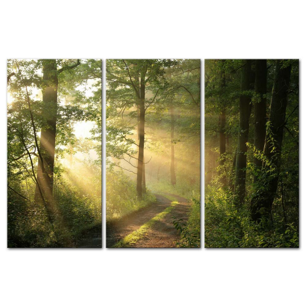 Wald Natur Wandkunst Dekor Sonnenschein Durch Wald Und Stra E Leinwand Bilder Kunstwerk 3 Panel Nuture Landschaft Malerei Drucke F-image