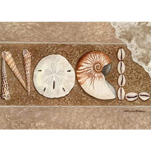 Χαρτί Σταθμής Noel Shells με Πλήρη Χρώμα, 52669-18