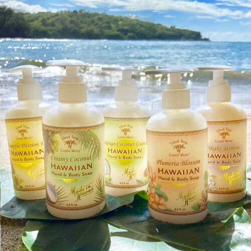 Island Soap & Candle Works Βοτανικό Υγρό Σαπούνι Χεριών - Vegan Σαπούνι για Άνδρες και Γυναίκες 2
