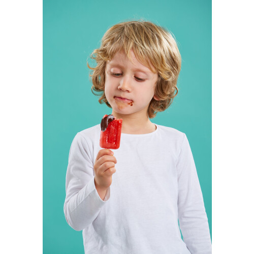 Lekue 4 Unit Stackable Ice Lollipop Mold 1