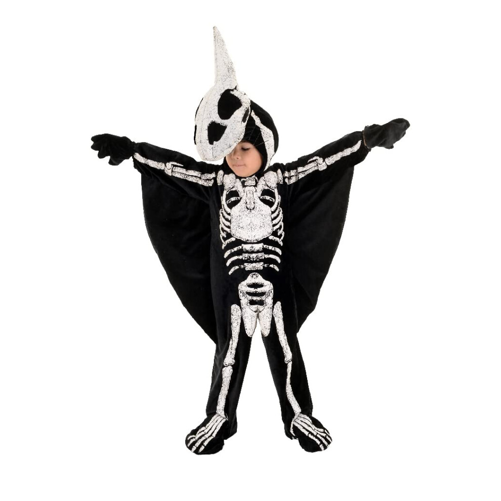 Undrwrap Kids Pteradactyl Fossil Costume-image