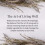Archipelago Black Forest Letter Press Candle 4