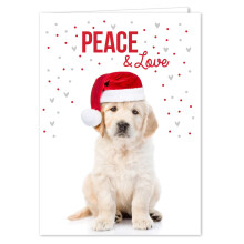 Canopy Street Labrador Love Weihnachtskarten-Set / 25 Karten und Umschlge / festliches Weihnachtsmtze-Welpen-Design mit Gru im Inneren / Weihnacht