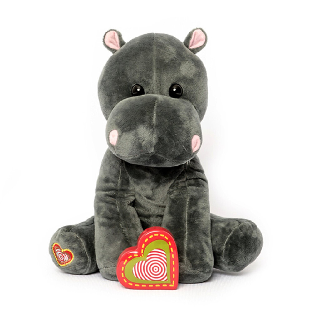 My Baby's Heartbeat Bear Recordable Stuffed Animals 20 sec Heart Voice Recorder for Ultrasounds and Sweet Messages Playback, Perfect Gender Reveal fo