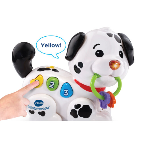 VTech VTech Rol & Ontdek Puppy 1