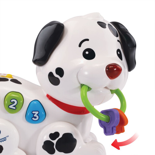 VTech VTech Rol & Ontdek Puppy 2