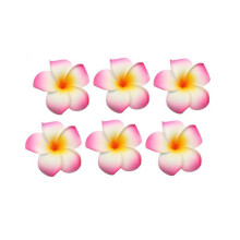 12 kpl naisten tytt jen 2,36 """" havaijilainen havaiji boheemia tyyliin plumeria vaahto kukka hiusklipsit koristelu hiuspinni morsiamen h juhliin