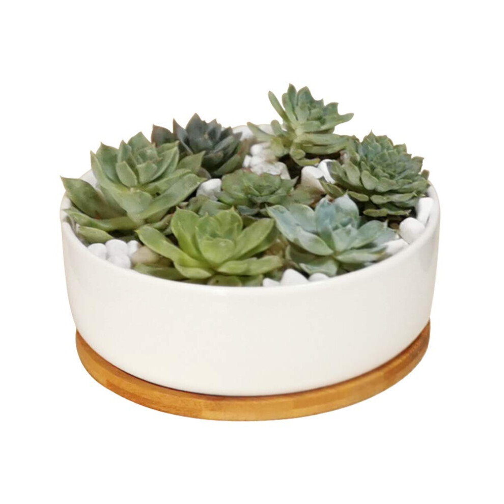 Lanker Pot De Fleurs Rond En C Ramique Blanche De 16 Cm Pour Plantes Succulentes, Pot D Coratif Pour Cactus, Contenant De Fleurs Avec Plateau En-image