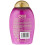 OGX Detoxifying + Ginger Conditioner Granatapfel 13 Fl Oz 4