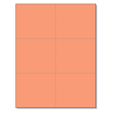 Leere perforierte Karten fr Laserdrucker, 6 Stck pro Seite (Salmon 300 Karten)