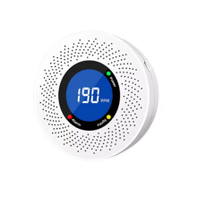 Carbon Monoxide Standalone Detector CO Alarm Screen Battery Powered
