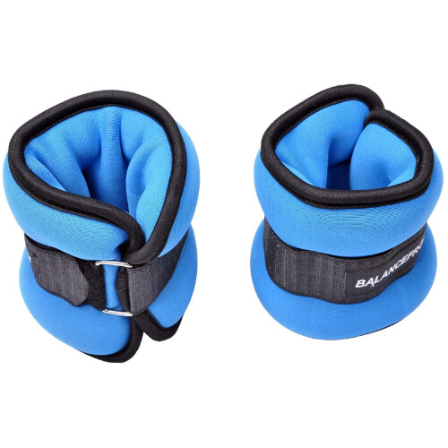 Balancefrom gofit 2