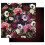 Prima Marketing 655350635992 Papier Multicolore 4