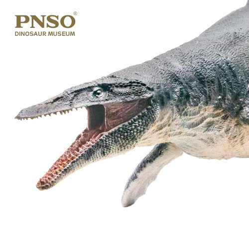 PNSO Σειρά Μουσείων Δεινοσαύρων (Ron Ο Μοσασαυρός 1:35 Επιστημονικό Μοντέλο) 1