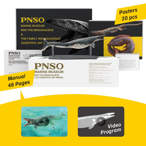 PNSO Σειρά Μουσείων Δεινοσαύρων (Ron Ο Μοσασαυρός 1:35 Επιστημονικό Μοντέλο) 2