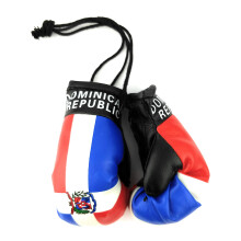 Hangende autospiegel Mini bokshandschoenen (Dominicaanse Republiek)