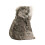 Douglas Koala de peluche de Douglas Kellen 3
