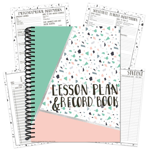 LESSON PLAN & RECORD BOOK 2