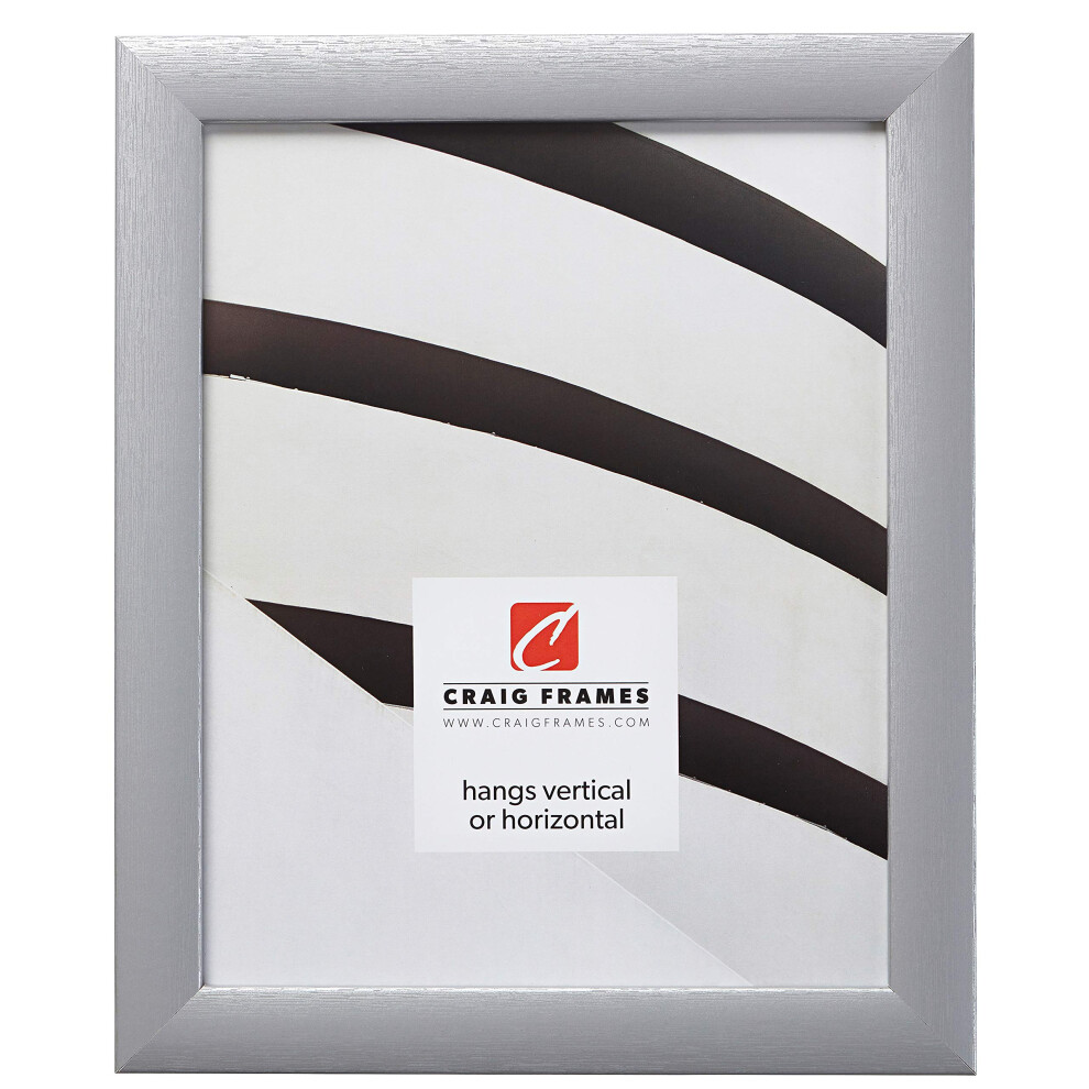 Cadre photo contemporain Craig Frames 18 x 24 pouces argent bross