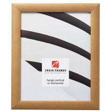 Craig Frames Contemporary Picture Frame 4 x 6 Inch Distressed Gold