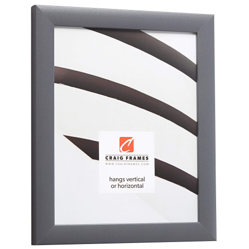 Craig Frames Contemporary Picture Frame 20 x 24 Inch Grey 1