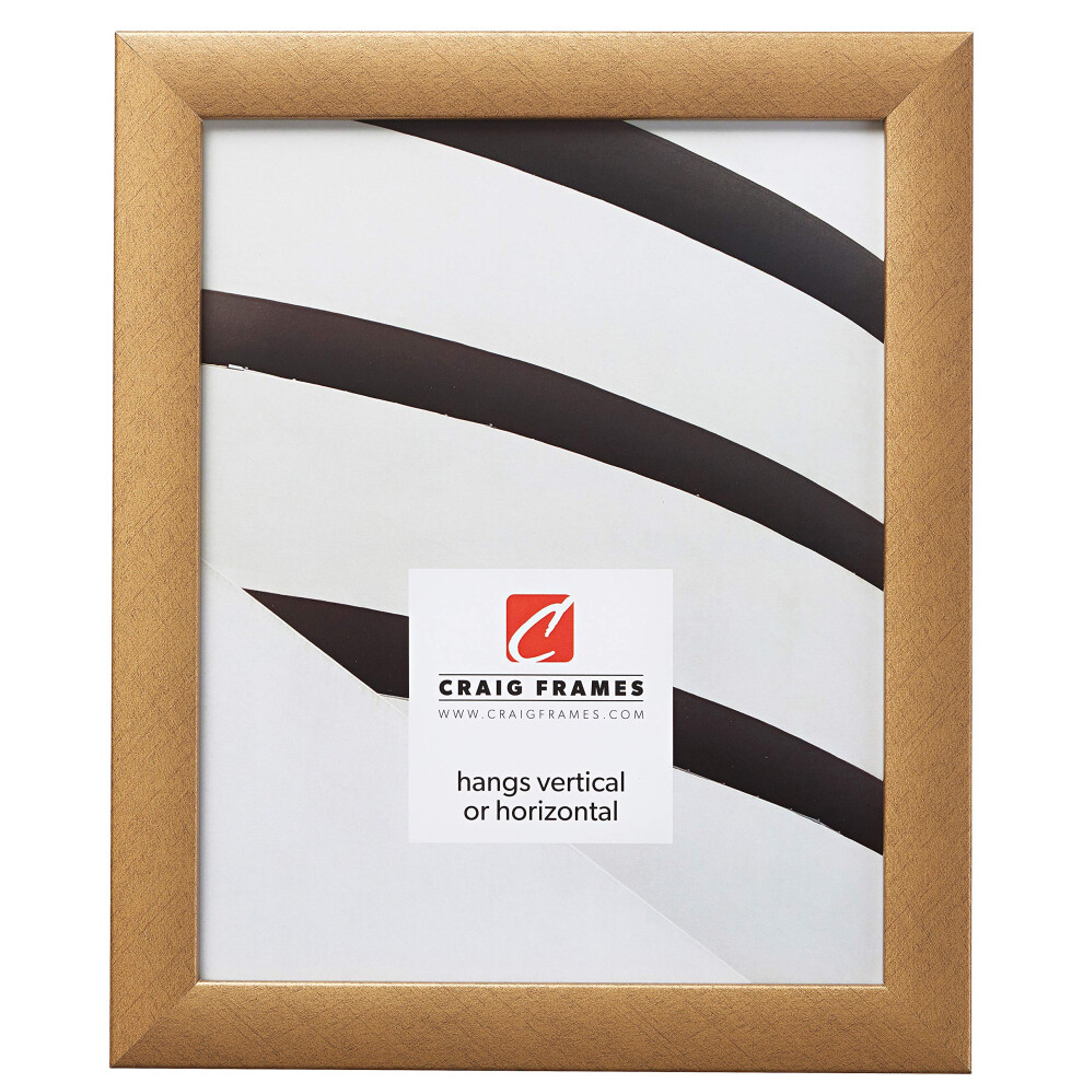 Cadre photo contemporain Craig Frames 18 x 24 pouces, couleur or vieilli