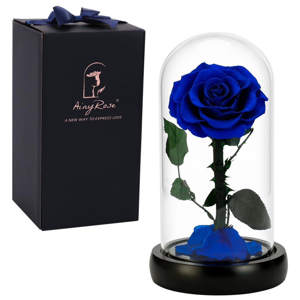 Forever Preserved Real Rose Christmas and Valentines Day Gifts for Mom  Women Gifts Blue Eternal Flower in Glass Gifts for Valentines Day Mo-image-OPC-PFNQK5C-NEW