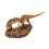 PNSO Σειρά Μουσείων Δεινοσαύρων (Yangchuanosaurus και Chungkinggosaurus Σκηνή Μάχης 1:35) 1