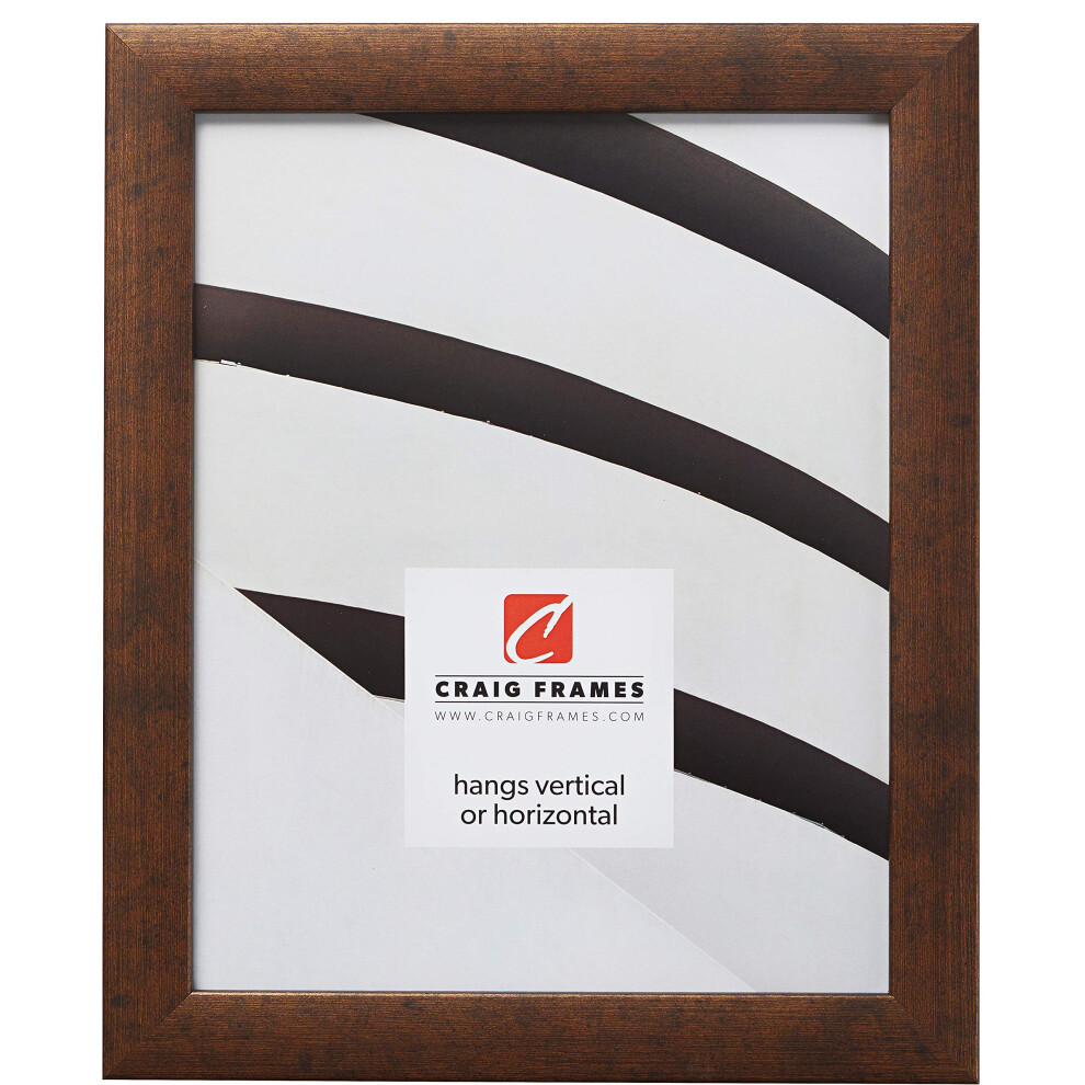 Cadre photo contemporain Craig Frames 17 x 23 pouces en cuivre rustique