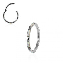 (Aurora Borealis, 8mm) 316L Surgical Steel Opal Studded Hinged Segment Clicker Ring