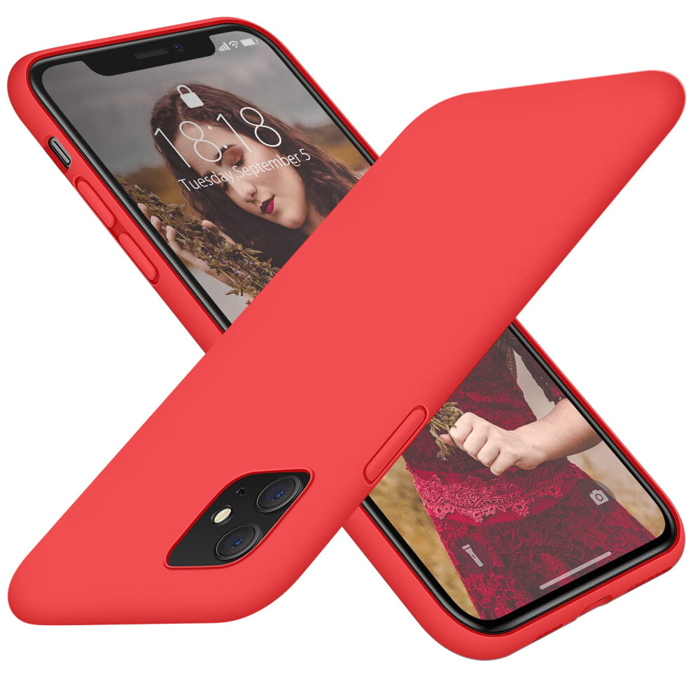 Coque DTTO compatible avec iPhone 11 [S   rie Romance] Coque enti   rement recouverte en argent