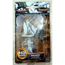 WizKids Pathfinder Deep Cuts Ongeverfde Miniaturen: Golf 6: Vrouwelijke Ridder