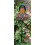 Spoontiques 21209 Estaca de Jardim, Multicolor 3