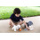 Plan Toys - Mala de Viagem para Animais Plan Toys 2