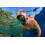 OCEAN REEF - Aria QR+ Μάσκα Σνόρκελ Γρήγορης Απελευθέρωσης - 180 Υποβρύχια Όραση - 5 Χρώματα 2