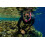 OCEAN REEF - Aria QR + Quick Release Snorkeling Mask - Full Face Snork 5