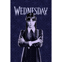 Wednesday Fleece Throw Blanket 100 x 150 cm - Addams Family