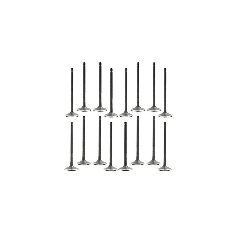 Dnj VK16954 Zestaw Zaworu Dolotowego I Wydechowego Dla 2005 Do 2015 Toyota 4Runner Tacoma L4 2.7L Dohc 16V EV954 X8 IV954 X8-image