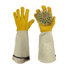 GLOSAV Gardening Gloves Thorn Proof for Rose Pruning & Cactus Trimming