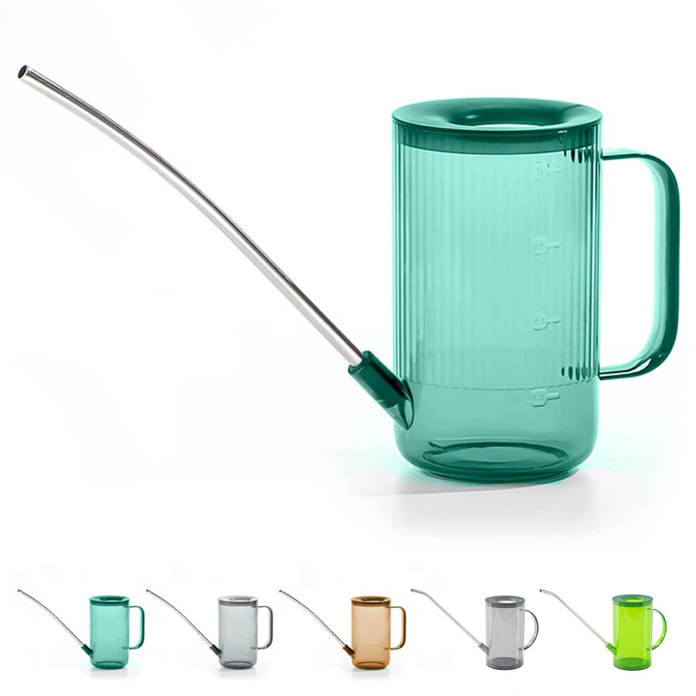 Annaffiatoio A Becco Lungo Per Interni, Piccoli Annaffiatoio Per Piante Da Appartamento, Fiori, Piante Grasse, 958,2 G (Verde)