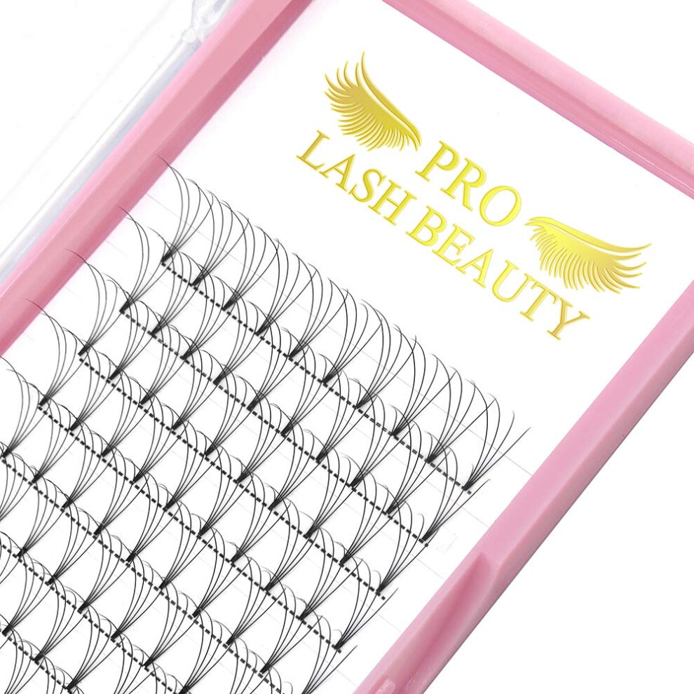 Pro Lashbeauty Premade Fans Eyelash Extensions 4D-D-010-10 Short Stem Premade Volume
