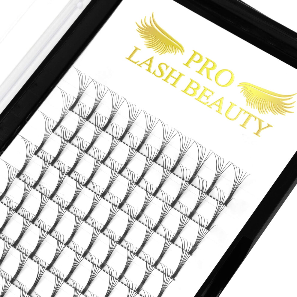 Pro Lashbeauty Premade Volume Eyelash Extensions 6D-C-0.10-16 Long Stem Premade Fans