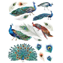 Redesign with Prima 655350645090 Transfer  Peacock Dreams