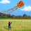 Mint's Colorful Life Octopus Kite 3 Spotty Colors 3