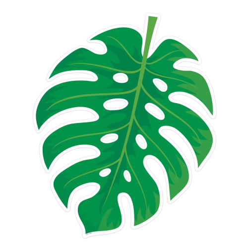 PALMENPARADIES MONSTERA VERLSST BB ST 1